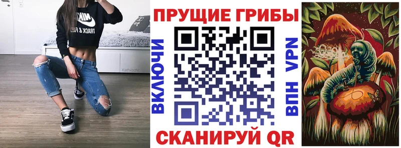 Купить где  Полевской  Галлюциногенные грибы Psilocybine cubensis 